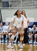 Photo from the gallery "Harlan @ Warren"