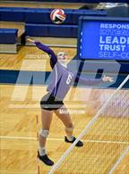Photo from the gallery "Harlan @ Warren"