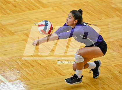 Thumbnail 2 in Harlan @ Warren photogallery.