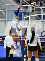 Photo from the gallery "Harlan @ Warren"