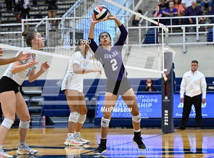 Thumbnail 3 in Harlan @ Warren photogallery.