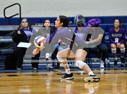 Thumbnail 3 in Harlan @ Warren photogallery.