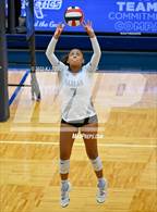 Photo from the gallery "Harlan @ Warren"