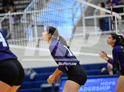 Thumbnail 2 in Harlan @ Warren photogallery.