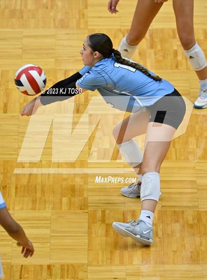 Thumbnail 1 in Harlan @ Warren photogallery.
