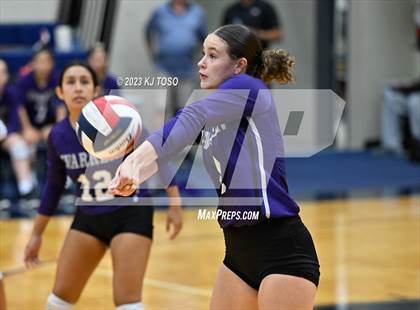 Thumbnail 1 in Harlan @ Warren photogallery.