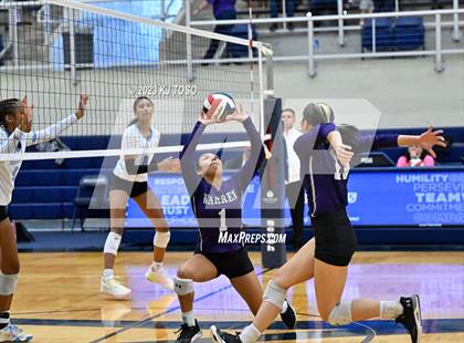 Thumbnail 1 in Harlan @ Warren photogallery.