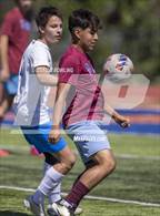 Photo from the gallery "St. Joseph-Ogden vs. St. Teresa"