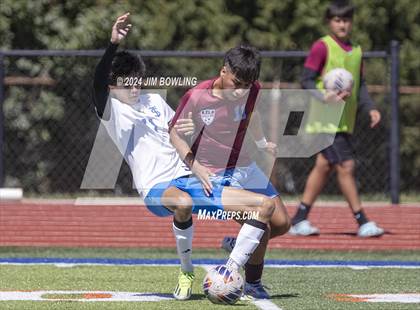 Thumbnail 3 in St. Joseph-Ogden vs. St. Teresa photogallery.