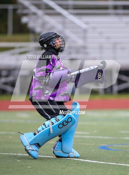 Thumbnail 1 in Pine Plains @ Kingston (MHAL Semifinal) photogallery.