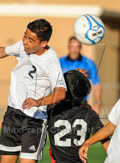 null - Photo 11