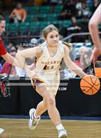 Photo from the gallery "Glenwood Springs vs. Windsor (CHSAA 5A Final Four)"