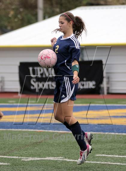 Thumbnail 2 in Ringgold @ Mt. Lebanon photogallery.