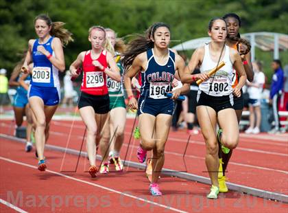 Thumbnail 3 in Stanford Invitational Distance Medley photogallery.