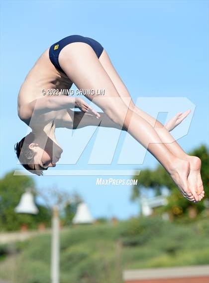 Thumbnail 1 in CVAA Championships photogallery.