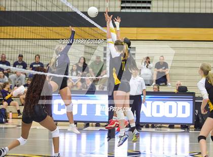 Thumbnail 1 in Summit Academy @ Cottonwood photogallery.