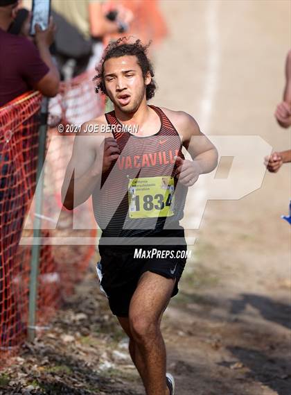 Thumbnail 2 in CIF State Cross Country Championships (Boys D2 Race) photogallery.