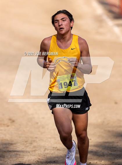 Thumbnail 3 in CIF State Cross Country Championships (Boys D2 Race) photogallery.