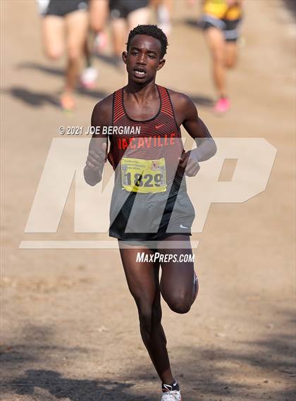 Thumbnail 2 in CIF State Cross Country Championships (Boys D2 Race) photogallery.