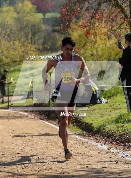 Thumbnail 1 in CIF State Cross Country Championships (Boys D2 Race) photogallery.