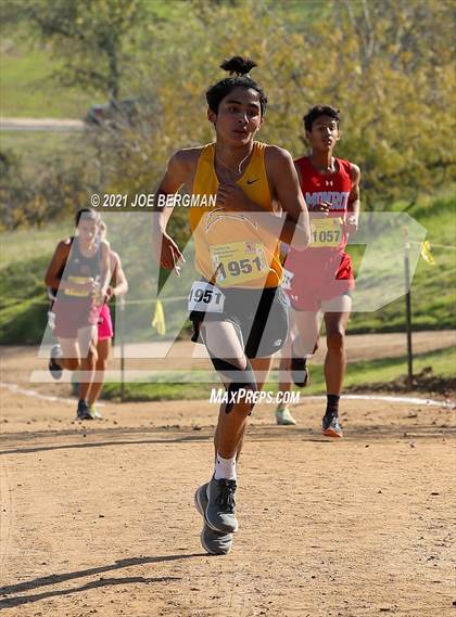 Thumbnail 3 in CIF State Cross Country Championships (Boys D2 Race) photogallery.