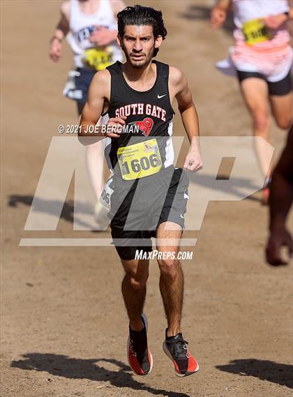 Thumbnail 3 in CIF State Cross Country Championships (Boys D2 Race) photogallery.