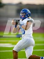 Photo from the gallery "Mesquite @ Mica Mountain"