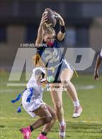 Photo from the gallery "Pine Forest @ Gulf Breeze"