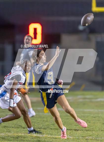Thumbnail 3 in Pine Forest @ Gulf Breeze photogallery.