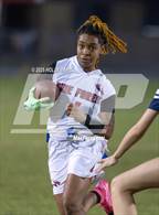 Photo from the gallery "Pine Forest @ Gulf Breeze"
