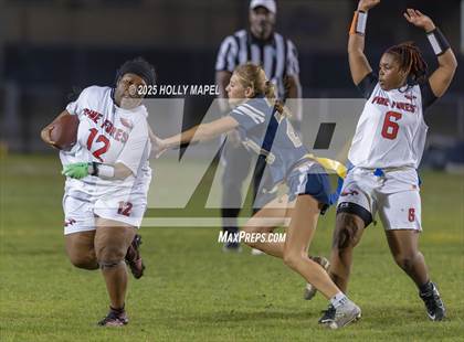Thumbnail 3 in Pine Forest @ Gulf Breeze photogallery.