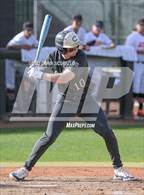 Photo from the gallery "Casteel @ Corona del Sol"