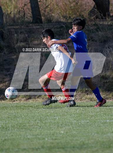 null - Photo 41