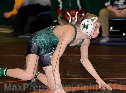 Thumbnail 2 in NYSPHSAA Championships (Division 2 Semifinals) photogallery.