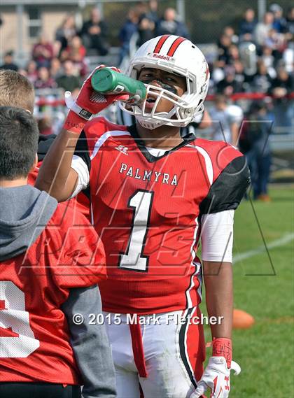 Thumbnail 1 in Riverside @ Palmyra photogallery.