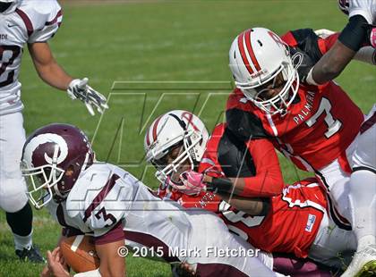 Thumbnail 2 in Riverside @ Palmyra photogallery.