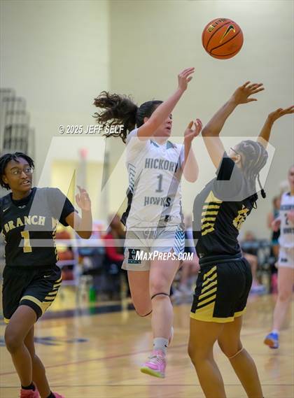 Thumbnail 1 in Western Branch @ Hickory photogallery.