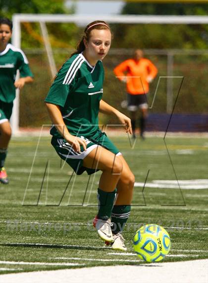 Thumbnail 1 in Placer vs. Colfax (CIF SJS D4 Final) photogallery.