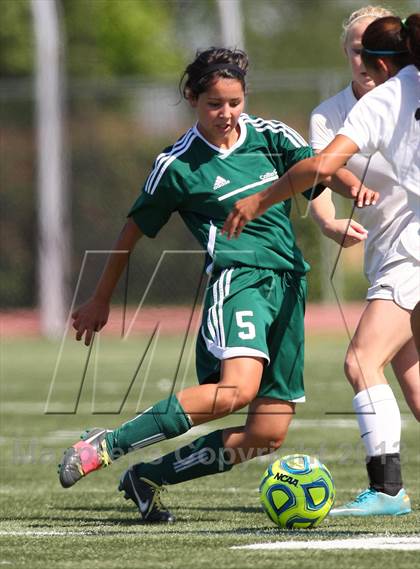 Thumbnail 3 in Placer vs. Colfax (CIF SJS D4 Final) photogallery.