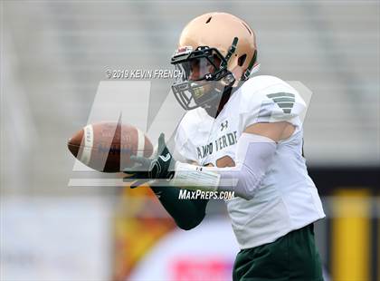 Thumbnail 3 in Campo Verde @ Williams Field (AIA 5A Final) photogallery.