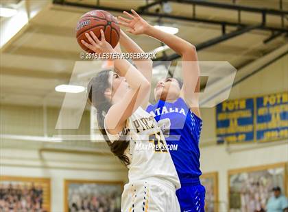 Thumbnail 2 in Natalia @ Poth photogallery.