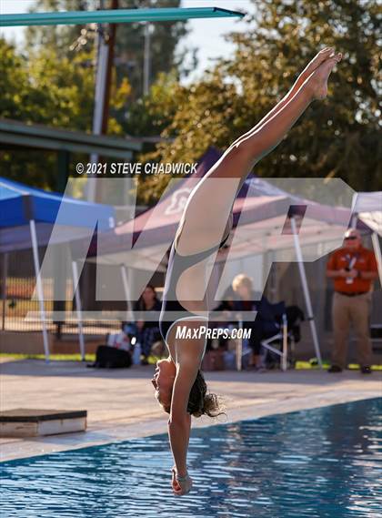 Thumbnail 2 in AIA Division II Diving State Championships  (Finals) photogallery.