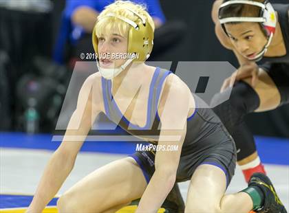 Thumbnail 1 in CIF State Boys Wrestling Championships (Pig-Tail Round) photogallery.