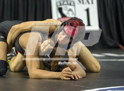 Thumbnail 2 in CIF State Boys Wrestling Championships (Pig-Tail Round) photogallery.
