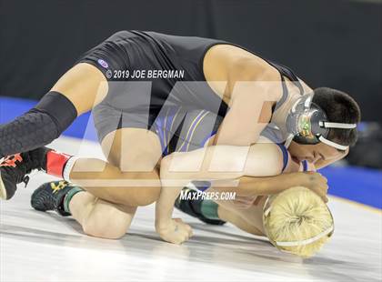 Thumbnail 1 in CIF State Boys Wrestling Championships (Pig-Tail Round) photogallery.