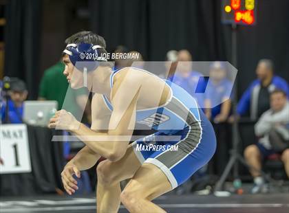 Thumbnail 1 in CIF State Boys Wrestling Championships (Pig-Tail Round) photogallery.