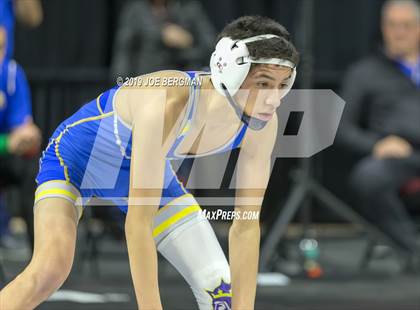 Thumbnail 2 in CIF State Boys Wrestling Championships (Pig-Tail Round) photogallery.