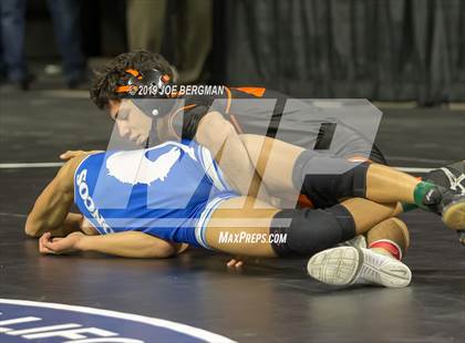 Thumbnail 3 in CIF State Boys Wrestling Championships (Pig-Tail Round) photogallery.