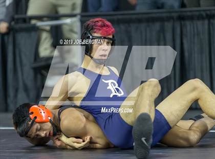 Thumbnail 1 in CIF State Boys Wrestling Championships (Pig-Tail Round) photogallery.