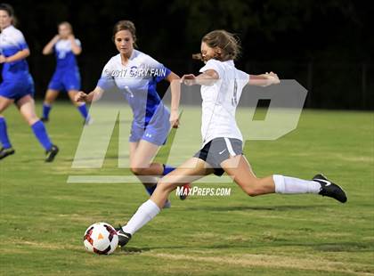 Thumbnail 2 in Cleveland @ Soddy Daisy photogallery.